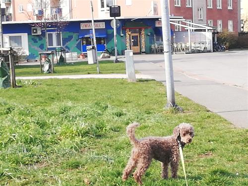 IMG_20190403_110643 IMG_20190403_110643