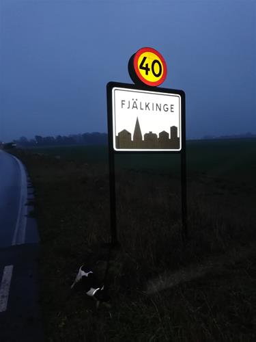 IMG_20191126_080510 IMG_20191126_080510