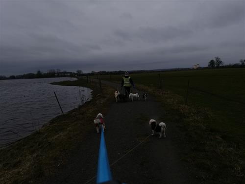 IMG_20190320_102404 IMG_20190320_102404