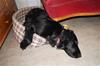 DSC02003 DSC02003