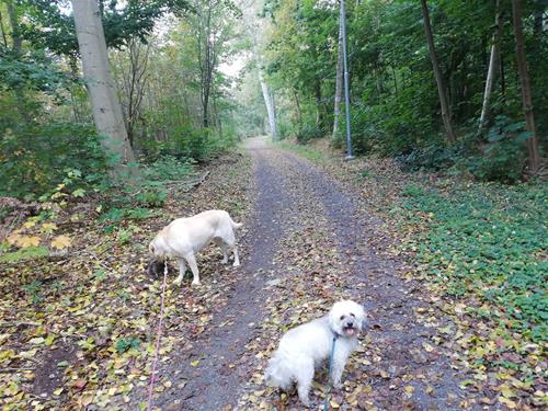 IMG_20200930_102853 IMG_20200930_102853