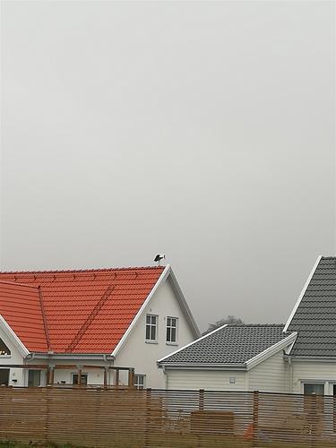 IMG_20191127_094949 IMG_20191127_094949