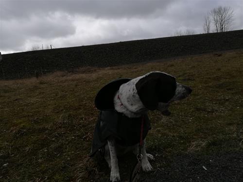 IMG_20190318_115120 IMG_20190318_115120