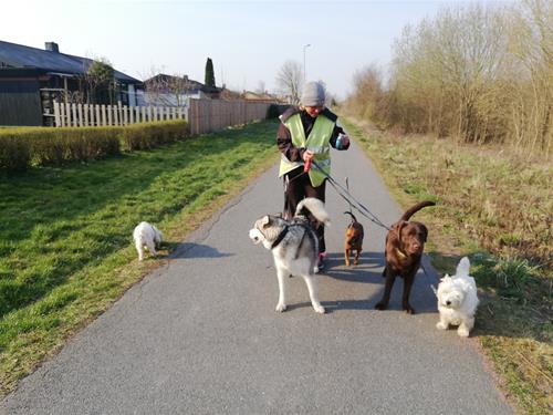 IMG_20190404_091838 IMG_20190404_091838