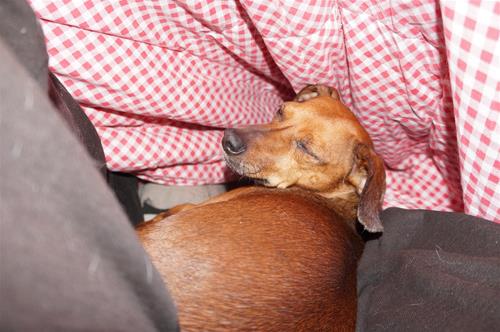 DSC07743 DSC07743