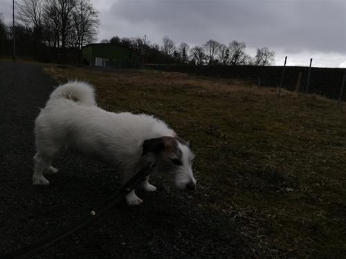 IMG_20190318_115126 IMG_20190318_115126