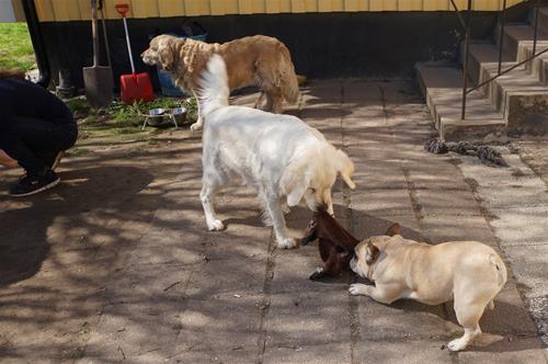 DSC03550 DSC03550