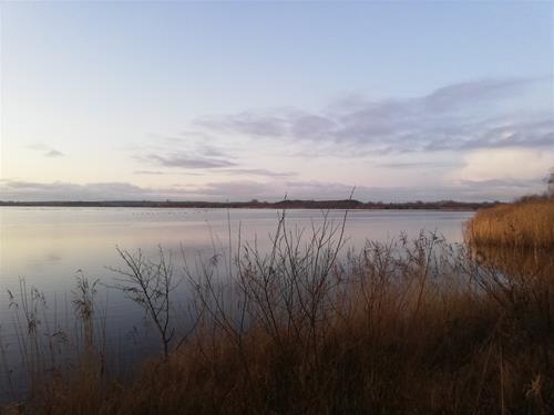 IMG_20191202_080528 IMG_20191202_080528