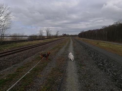 IMG_20190409_093747 IMG_20190409_093747