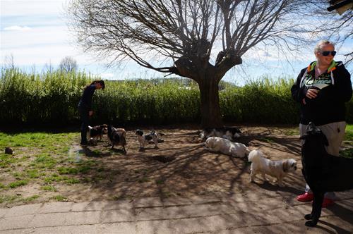 DSC03535 DSC03535