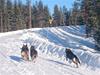 IMG_20160226_153455