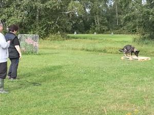 IMG_20170820_152834 IMG_20170820_152834