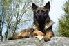 FB_IMG_1442572030366