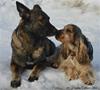 Axina & Sune