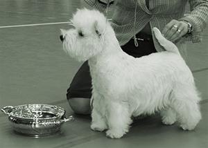 2008-05-04_Vogrie_Lizzie_Bruce_by_Hopecharm-hillerod-utan_handler1