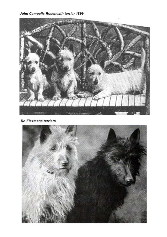 Malcolm_Pdf_till_hemsidan_Sida_21