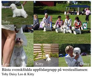 Uppfödargrupp WA