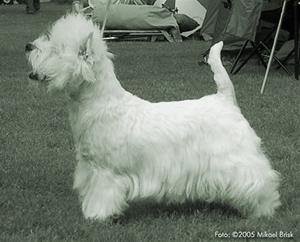 2005-07-02-posh_maundy_BIR1