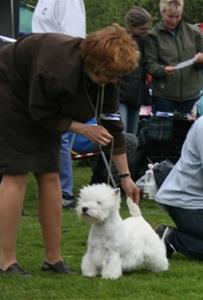 Maysie10_004