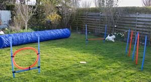 Aileen 2 Agility