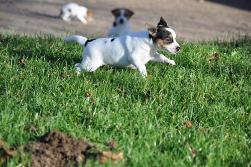 DSC_1101 DSC_1101
