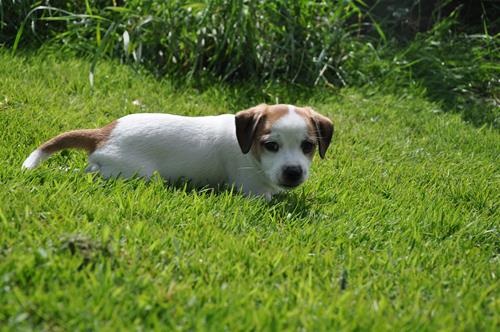 DSC_0536 DSC_0536