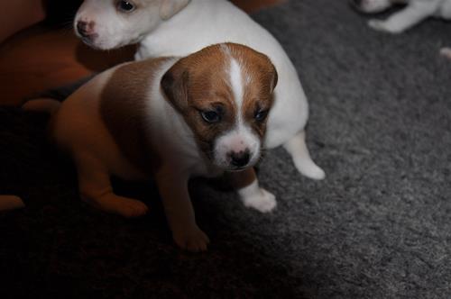DSC_0675 DSC_0675