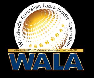 WALA Logo Truffelnose Labradoodle