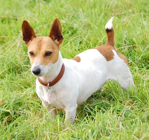 billyjrt