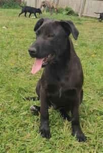 leroy 1 (3)