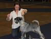 My Dog 2013