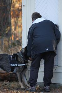 IMG_3151 IMG_3151