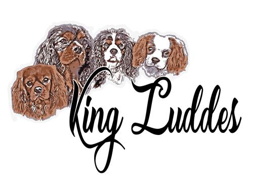 King Luddes