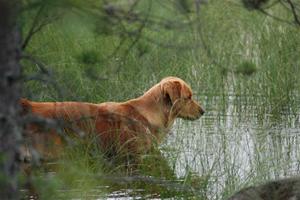 lager_2009_14