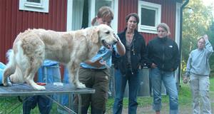 fredag_12