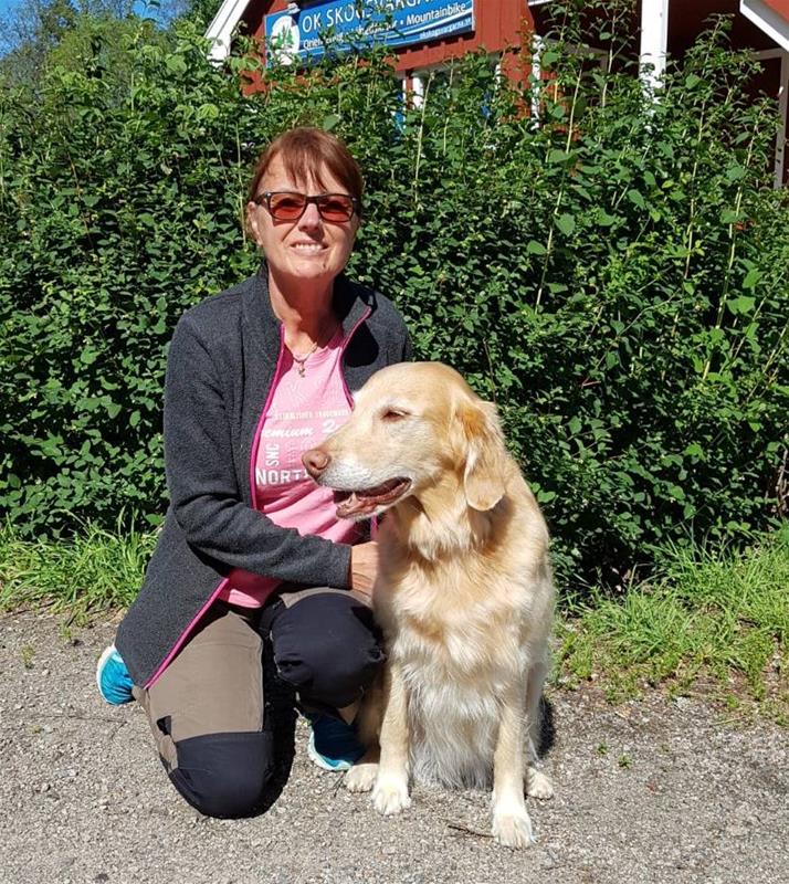 Lördagens bästa hund Springernatta 2019 Lördagens bästa hund Springernatta 2019