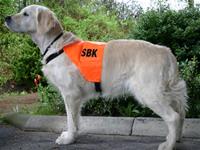 Tjänstetecken SBK