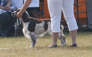 Sunne 2014 050 Sunne 2014 050