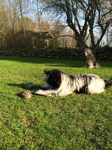 IMG_1058 IMG_1058