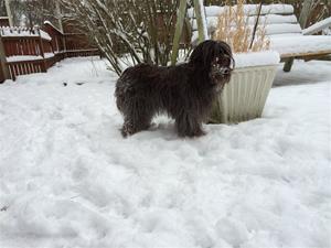 IMG_0052 IMG_0052