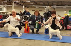9579_1036815736357066_6701710848067575994_n 9579_1036815736357066_6701710848067575994_n